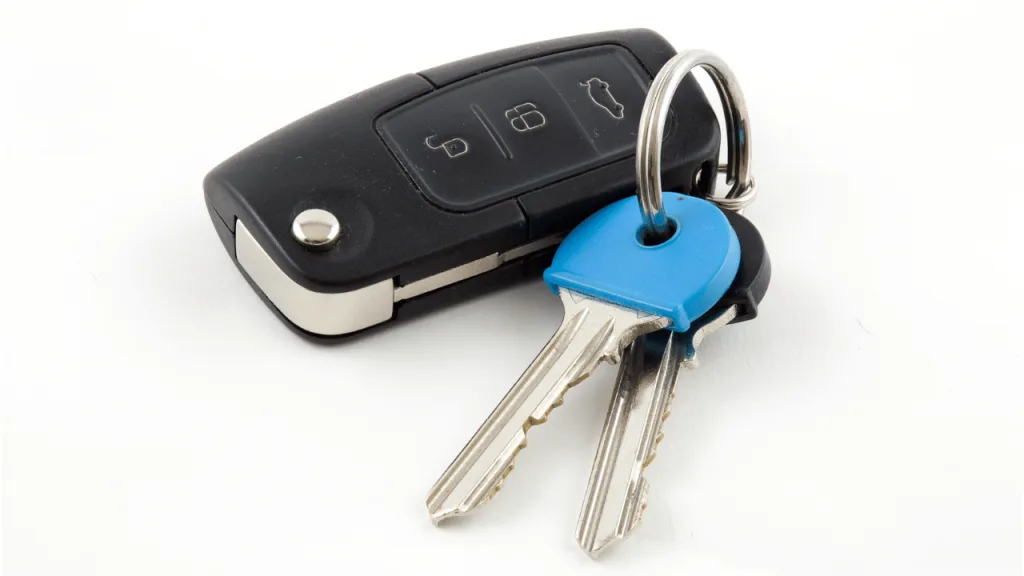 car immobiliser